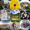 Pixter obiettivo fotografico fisheye per smartphone/tablet Anteprima dell’immagine prodotto 6
