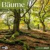 Bäume Kalender 2027 - 30x30 - Art12 Produktbild-Vorschau 1