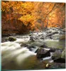 Bilder auf glas - Stream Herbst Forrest Berg - 70x70cm - Produktbild-Vorschau 1