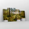 Bild auf Leinwand - Leinwandbild - Wald Baum Natur - Produktbild-Vorschau 4