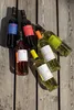 Grüner Veltliner Drei Junge Wilde NÖ QUW 2025 Produktbild-Vorschau 4