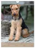 Welsh Terrier - viel Hund in kleiner Verpackung Produktbild-Vorschau 5