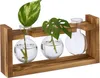 Váza Relaxdays ve tvaru zkumavky, kulaté skleněné vázy s Náhled obrázku produktu 1