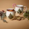 Villeroy & Boch Toy's Delight hrnček s uškom: sada na Náhľad obrázku produktu 13