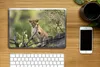MuchoWow® Laptop Aufkleber Sticker Cover Löwe - Junge - Produktbild-Vorschau 2
