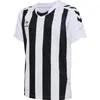 Hummel hmlCORE XK STRIPED JERSEY S/S KIDS Produktbild-Vorschau 8