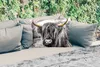 MuchoWow® Outdoor Kissen - Schottisches Hochlandrind - Produktbild-Vorschau 2