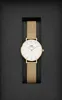 Daniel Wellington Petite Evergold Anteprima dell’immagine prodotto 17