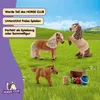 schleich HORSE CLUB Mini Shetty Familie, Horses, 3 Jahr(e), Produktbild-Vorschau 5