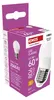 LED žárovka Classic Mini Globe / E27 / 6,5 W (60 W) / 806 lm / neutrální bílá Produktbild-Vorschau