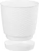 Prosperplast 7.5l Ratolla  Collection 25x25x21.9 Cm Produktbild-Vorschau 10