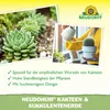 Neudorff NeudoHum Kakteen- & SukkulentenErde 3 Liter Produktbild-Vorschau 4