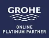 Grohe Essentials verre de rechange pour ensemble brosse WC Voir les images du produit 9