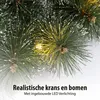 Black Box Trees Glendon Kerstboom en Kerstkrans Set - 2 Productafbeelding-voorbeeld 5