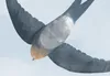 Vlies Fototapete fliegende Vögel 400x280 cm Tapeten Produktbild-Vorschau 4