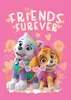 Detská deka Paw Patrol Skye a Everest Náhľad obrázku produktu 1