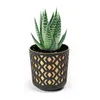 AZTEK 190 vaso da fiori - k/nero + c/oro chiaro LA791-49 Anteprima dell’immagine prodotto 10