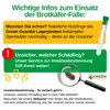 Speckkäfer Falle mit Pheromon-Lockstoff - 1x Falle -  Produktbild-Vorschau 7