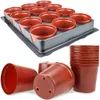 Gardenline Set Mit 12 Töpfen + Untertasse Eda3083 Produktbild-Vorschau 4