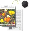 Islandmohn Samen Mix (Papaver nudicaule) - Wunderschön Produktbild-Vorschau 1