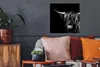 MuchoWow® Poster Schottischer Highlander - Horn - Schwarz - Produktbild-Vorschau 2
