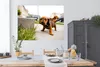 MuchoWow® Poster Ein Dackelwelpe kaut auf einem Stück Gras Produktbild-Vorschau 3