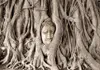 Selbstklebende Folie Fototapete - Buddha's Tree 343x245 cm Produktbild-Vorschau 6
