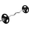 A silver EZ curl bar with black weight plates on a white background. Podgląd zdjęcia produktu