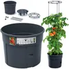 A product shot of a tomato growing system, including the planter, accessories, and a mature tomato plant with fruit. Produktbild-Vorschau