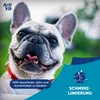 A close-up of a French Bulldog's face with a blue graphic overlay on the right side and bottom left. Náhľad obrázku produktu