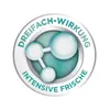 Dr. Beckmann Geruchsentferner | entfernt hartnäckige Produktbild-Vorschau 6