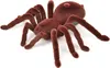 Zdalnie sterowany pająk TARANTULA + PILOT Podgląd zdjęcia produktu 4