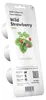 EMSA Click & Grow, Wilde aardbeienplant Productafbeelding-voorbeeld 13
