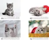 Tierzauber Lustige Katzen Tischkalender 10x10cm für 2027 Produktbild-Vorschau 4