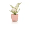 DECO 28 - Übertopf Magnolie | Ø 28 × 26 cm | matte Produktbild-Vorschau 4