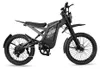 OUXI Skinnybike - Bicicletta elettrica - 20 pollici - Anteprima dell’immagine prodotto 1