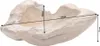 riess-ambiente Massive Schale NATURE ROOT 50cm natur Produktbild-Vorschau 12