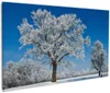 Wallario Premium Leinwandbild Schneebedeckter Baum mit Produktbild-Vorschau 1