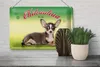 Blechschild Hund 30x20cm Chihuahua Mexiko Wanddeko Produktbild-Vorschau 5