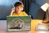 MuchoWow® Laptop Aufkleber Sticker Cover Igel auf Schotter Produktbild-Vorschau 3