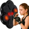 Boxerský štít nástenný tréner hudba LED USB rukavice Náhľad obrázku produktu 1