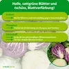 Purgrün -Kohl-Dünger 1 Liter, Produktbild-Vorschau 3