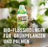 COMPO  Grünpflanzen- und Palmendünger - 500 ml Produktbild-Vorschau 3