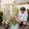Gusta Garden TOM TOMATO 3er-Set, hellgrau Produktbild-Vorschau 13