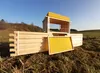 120x Zander Rähmchen FLACH 2/3 mit Geraden Seiten 477 x 159 Produktbild-Vorschau 5