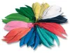 folia Indianerfedern 100 g farbig sortiert Produktbild-Vorschau 5