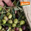 Epikouros oliwa extra virgin Kalamata 2LDemeter Podgląd zdjęcia produktu 3