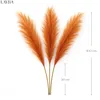 Layba Künstliches Pampasgras Deko in Terracotta Boho - 3 Produktbild-Vorschau 4