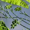 Kovová zahradní dekorace pro psy (balení po 2 kusech), 17" Náhled obrázku produktu 2