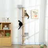 PawHut Kraboom, 5 verdiepingen, 180 cm, kattenkooi met Productafbeelding-voorbeeld 2